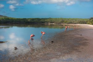 Islas-Galapagos-Isla-Floreana.jpg