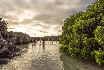 darwin-bay-genovesa-island-galapagos-1024x853-1.webp