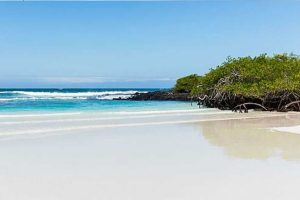 playa-brava-tortuga-bay.jpg