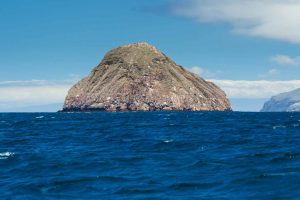 view-island-pinzon-galapagos-islands.jpg